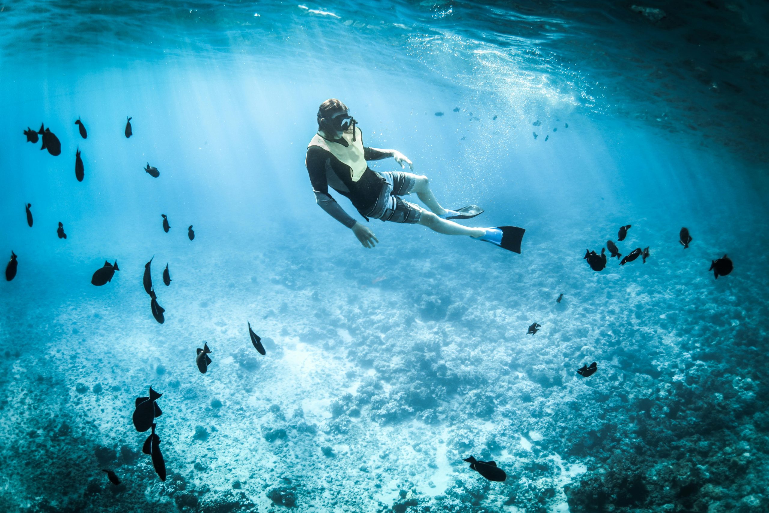 Private Reef Snorkel & Beach Escape